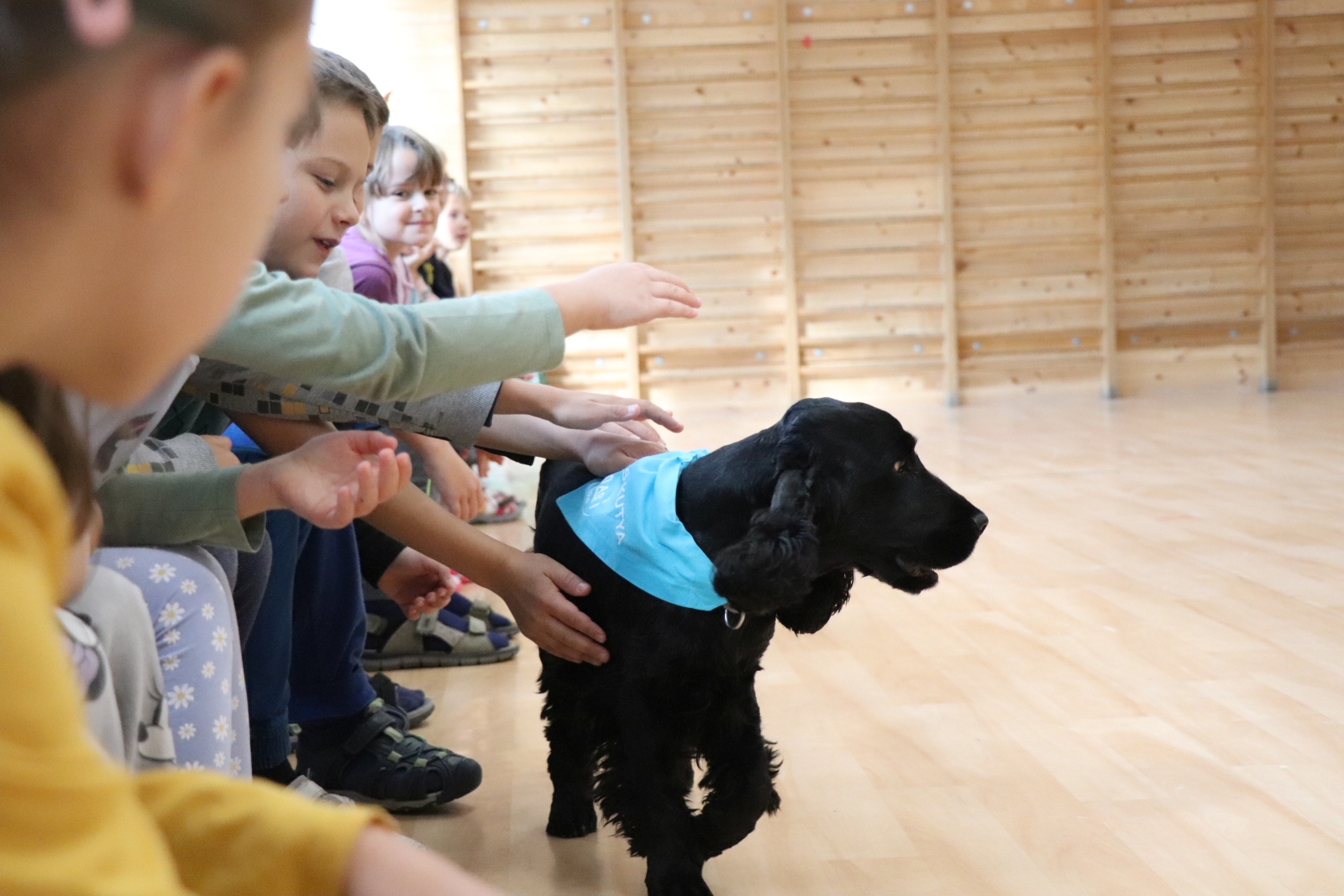 Kézműves drámatábor kutyaterápiával 2. kerület